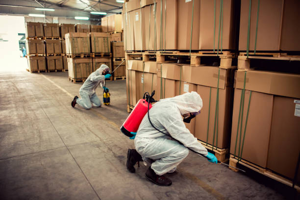 Best Pest Prevention Services  in Holtville, AL