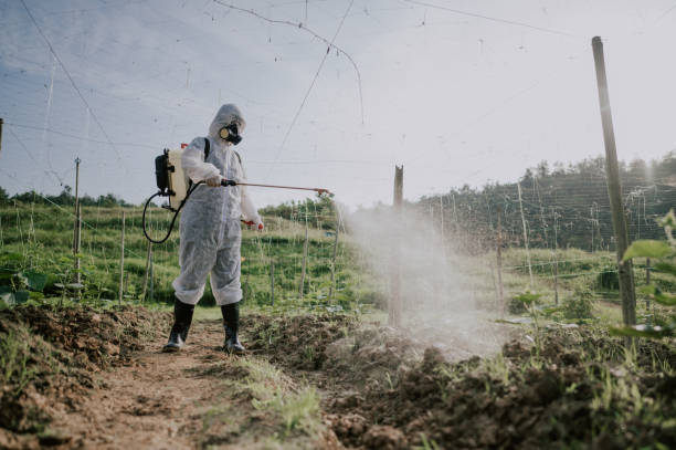 Best Mosquito Control Services  in Holtville, AL