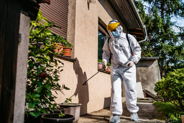 Best Termite Control Services  in Holtville, AL