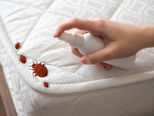 Best Residential Pest Control  in Holtville, AL