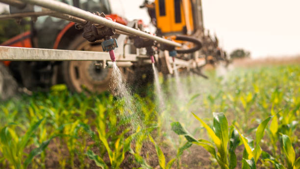 Reliable Holtville, AL Pest Control Solutions