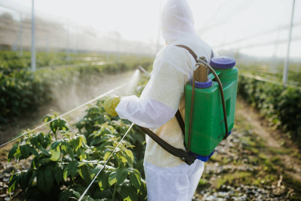 Pest Control for Restaurants in Holtville, AL